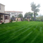 progettazione giardini