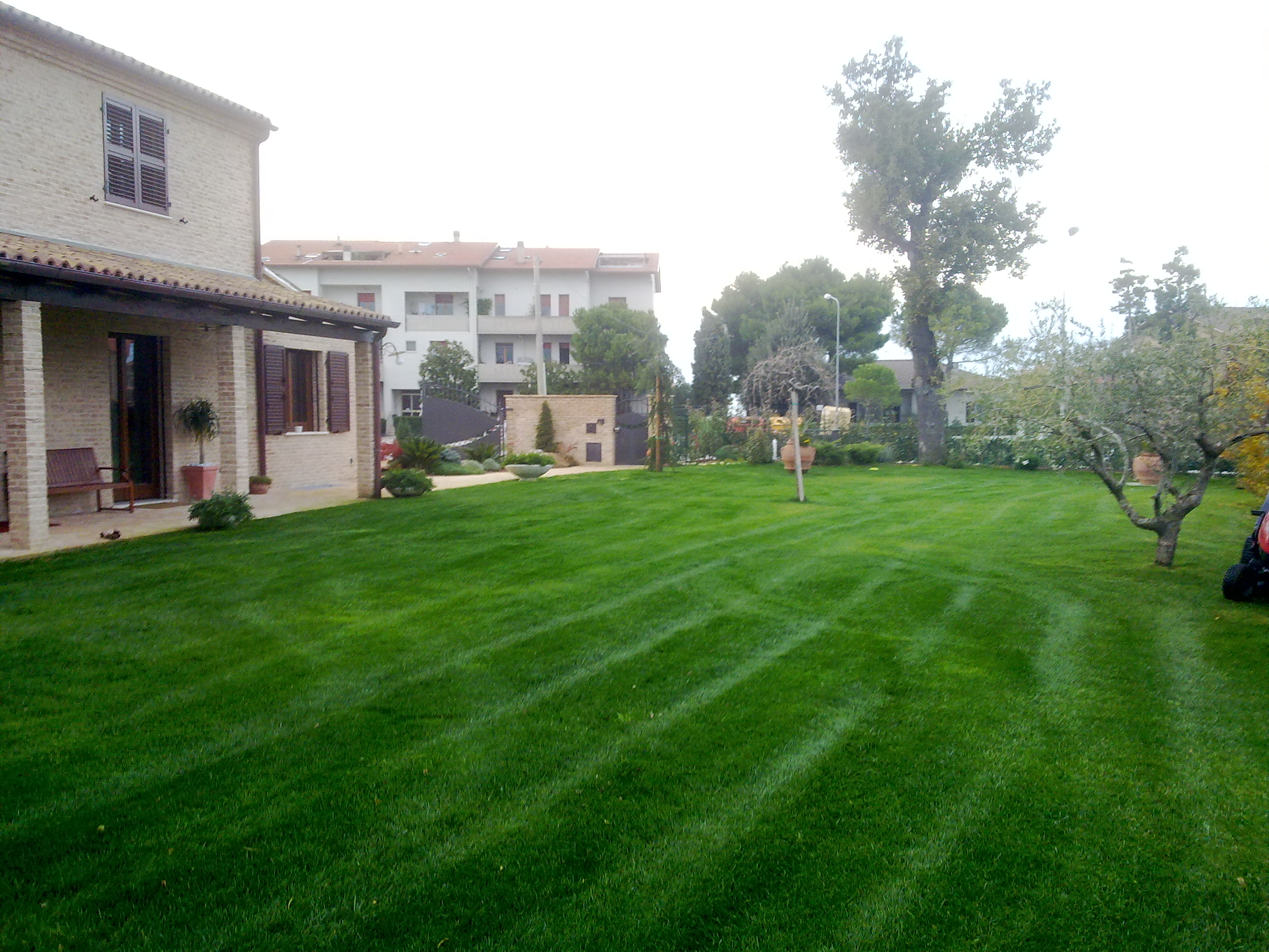 progettazione giardini